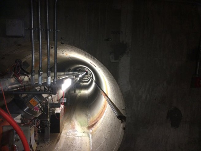 neutrrino_courtesy20of20will20flanagan